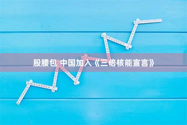 股腰包 中国加入《三倍核能宣言》