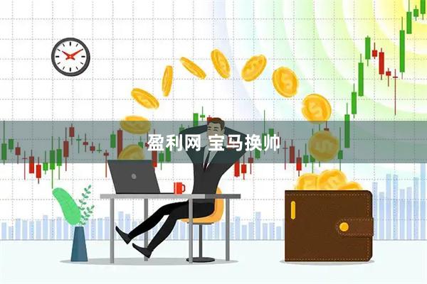 盈利网 宝马换帅